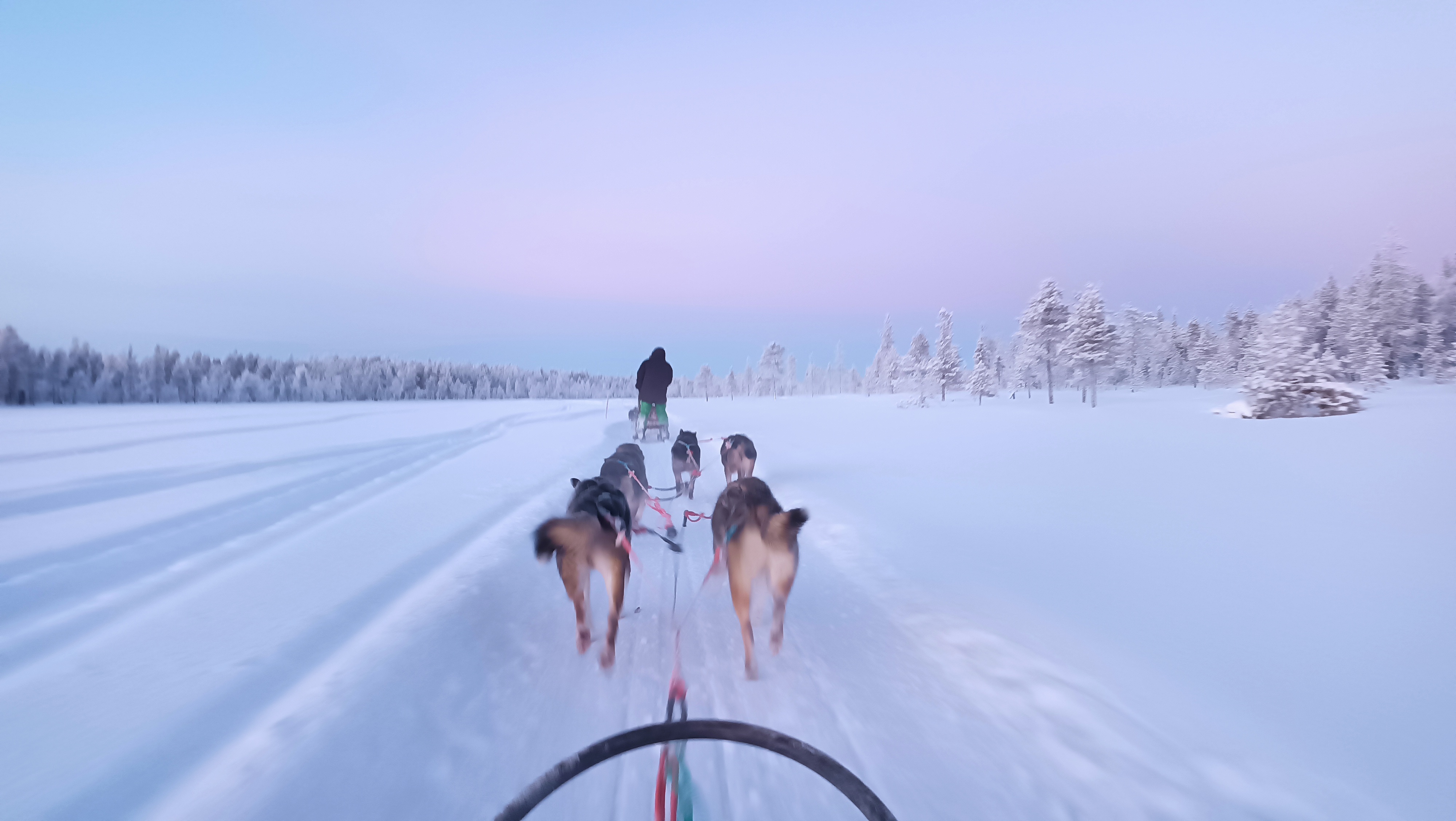 Huskytour