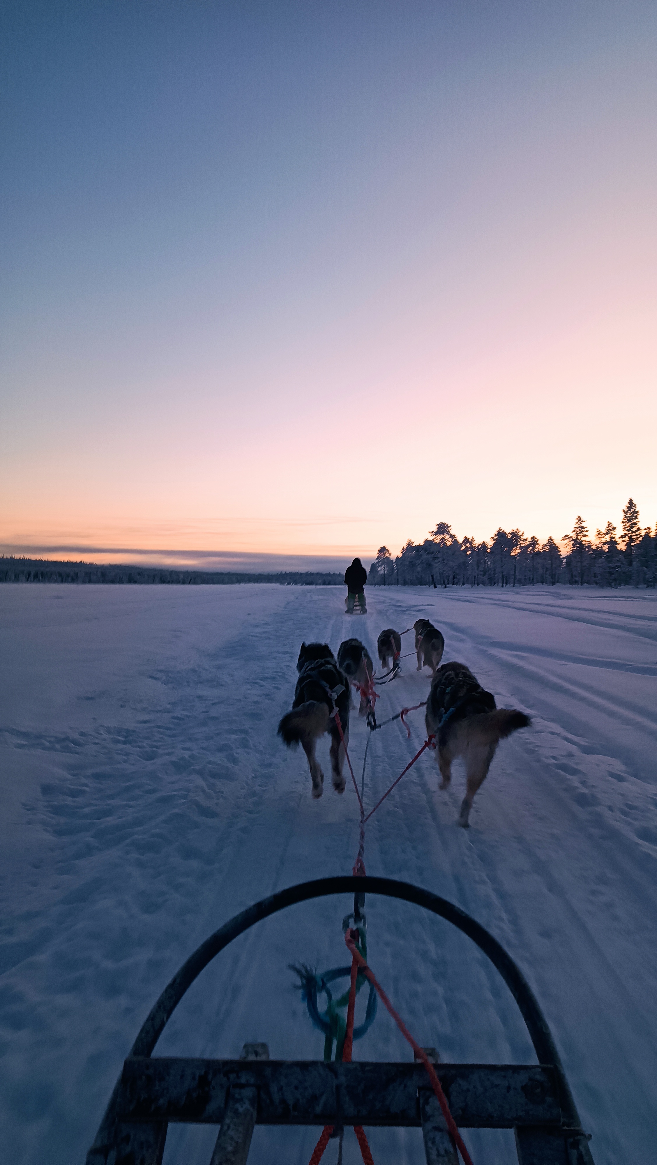 Huskytour