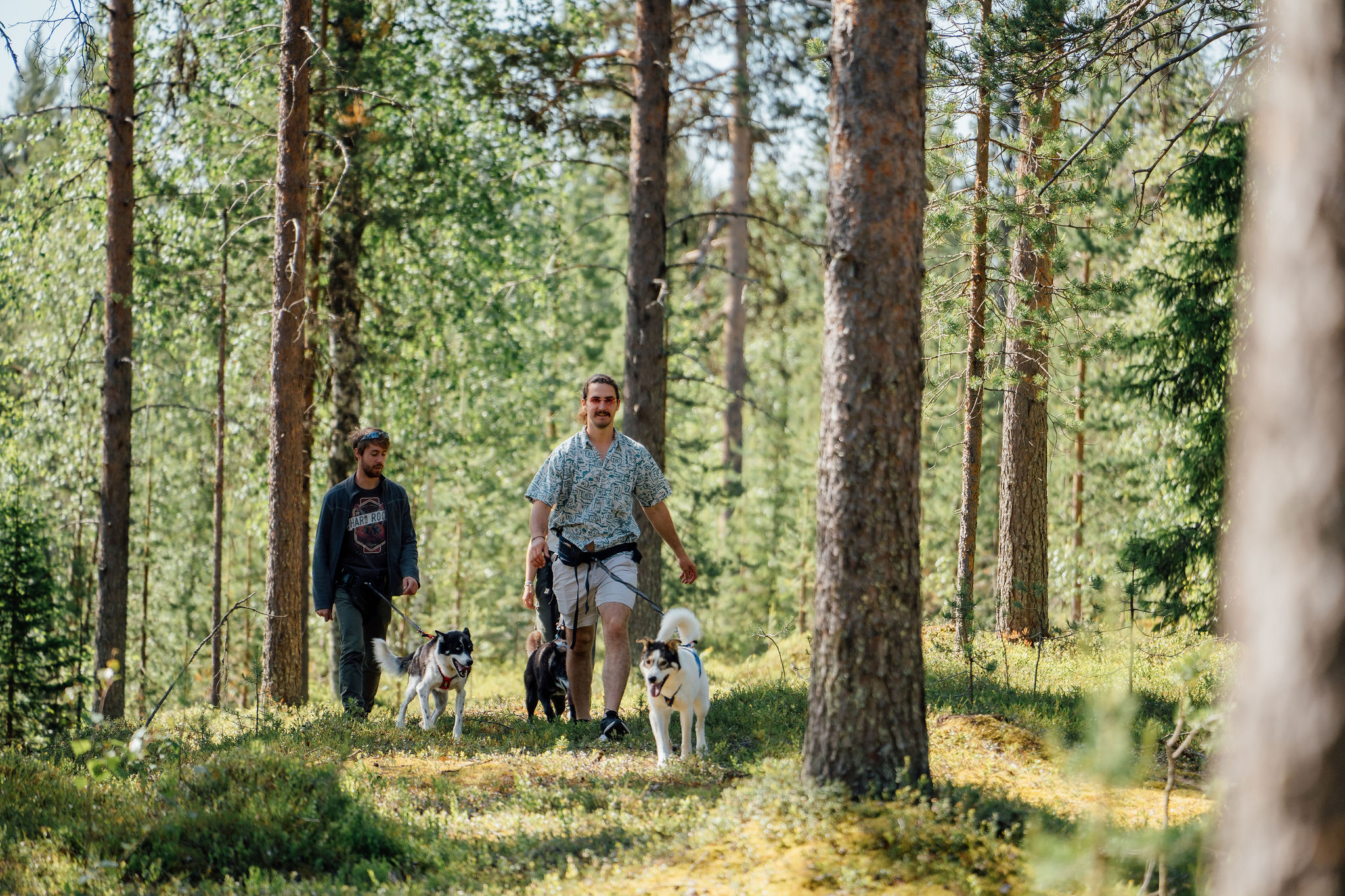 Husky Training Tag Explore the North