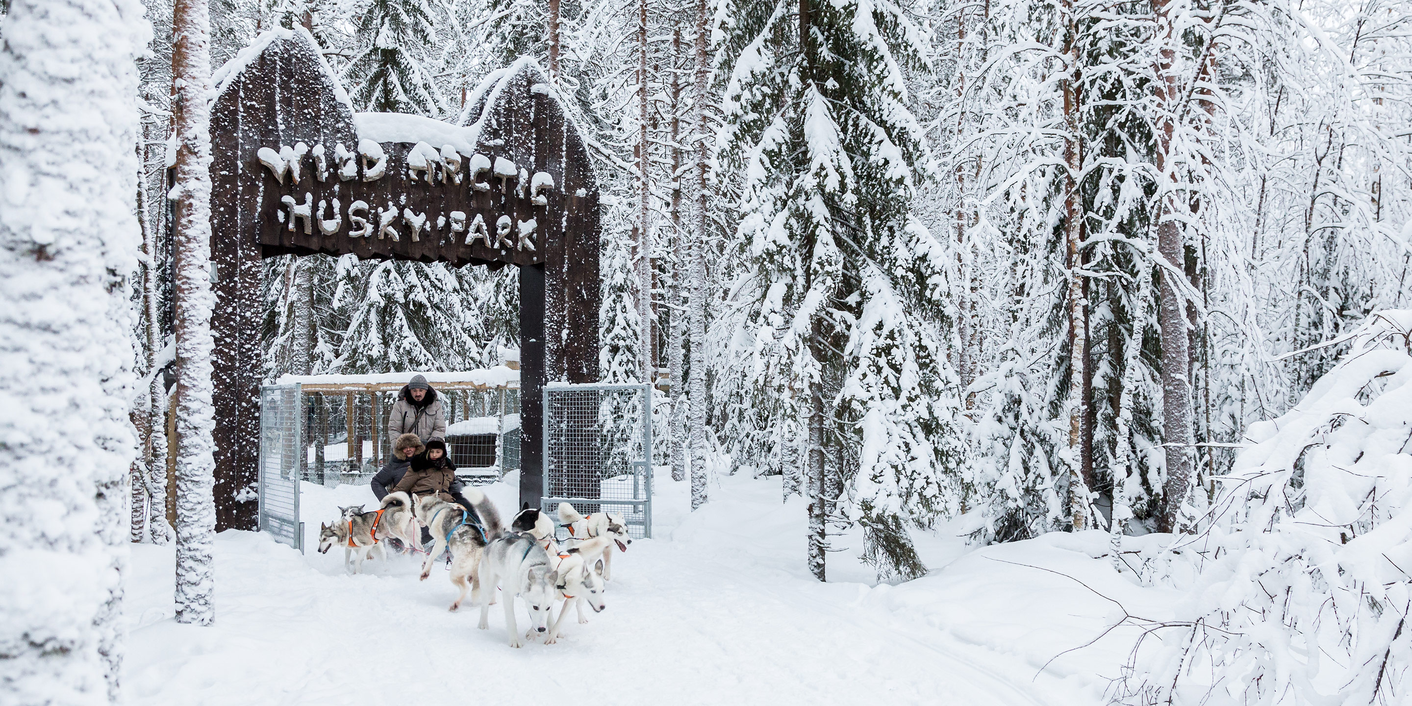 Winter-Husky-Schlitten-Finnland
