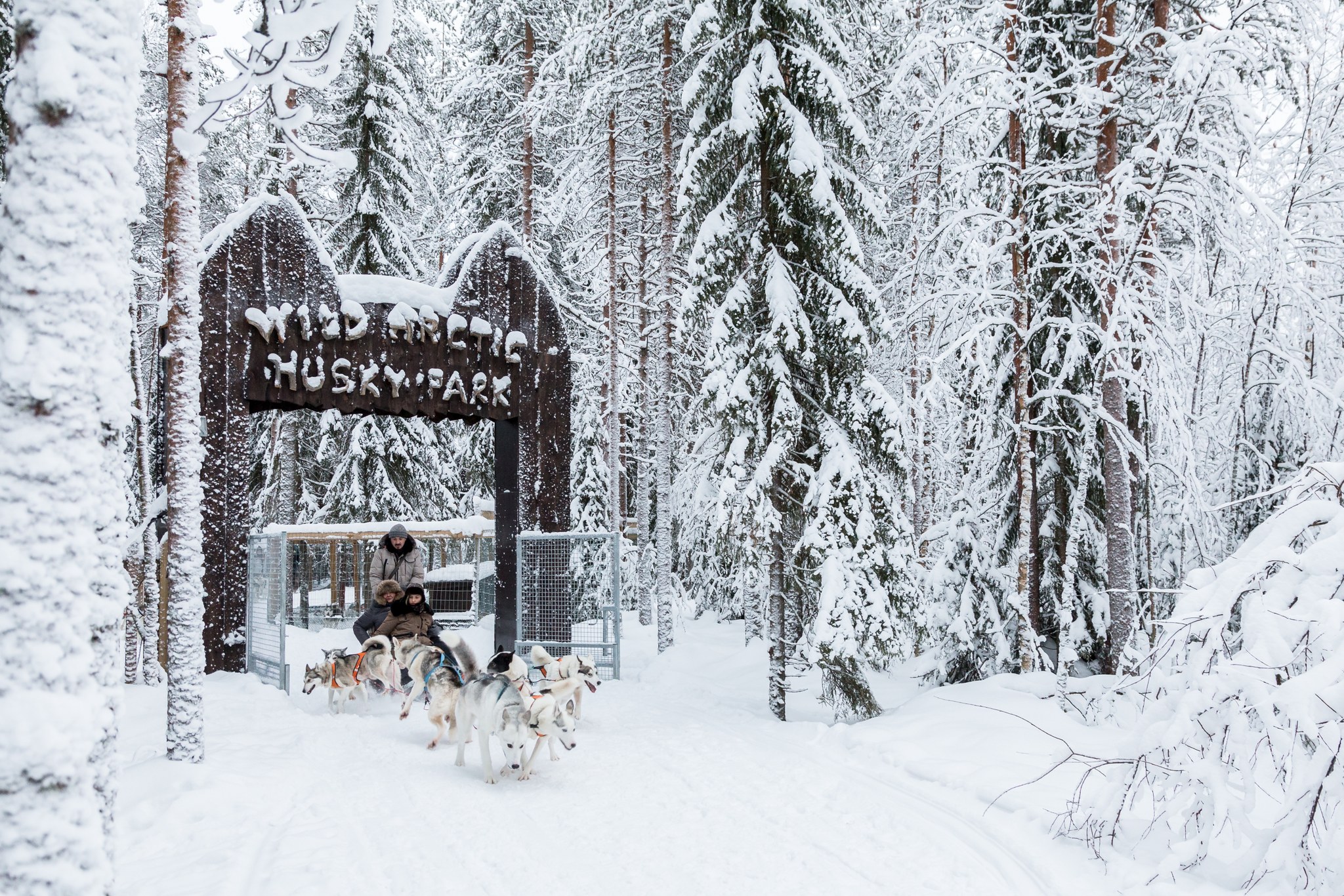 Ranua Husky Schlitten