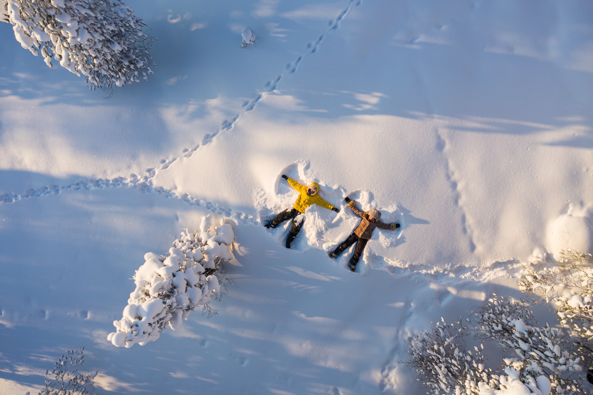 Arctic TreeHouse- Schnee 