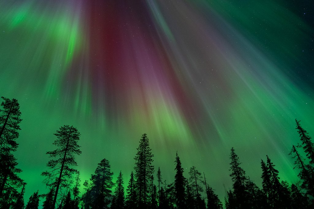 Aurora Borealis