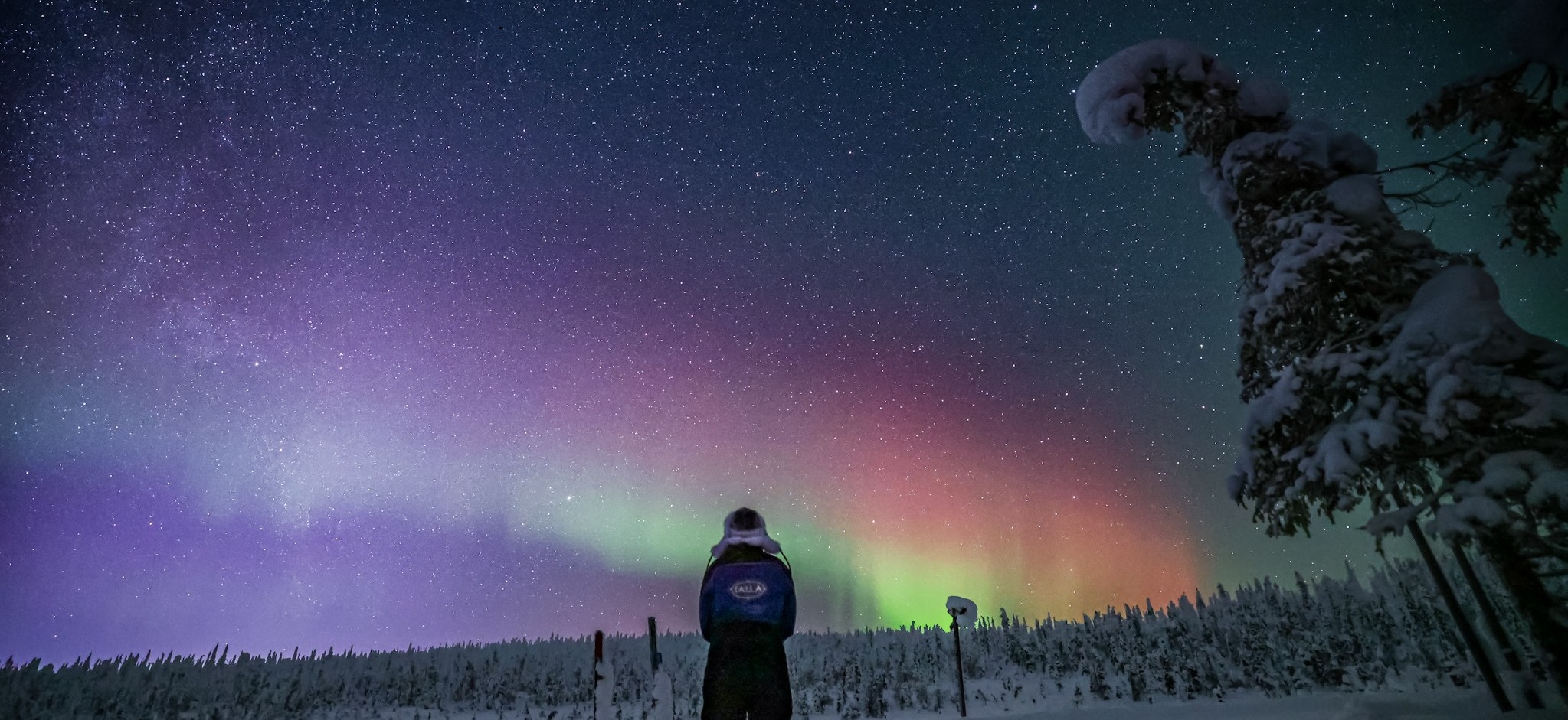 Aurora Hunting
