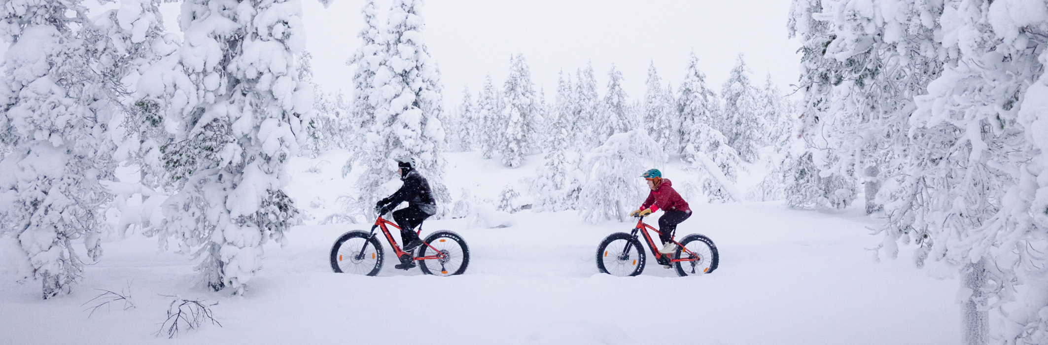 Biking-im-Winter  Finnland Aktivreise - Fahrradfahren im Winter