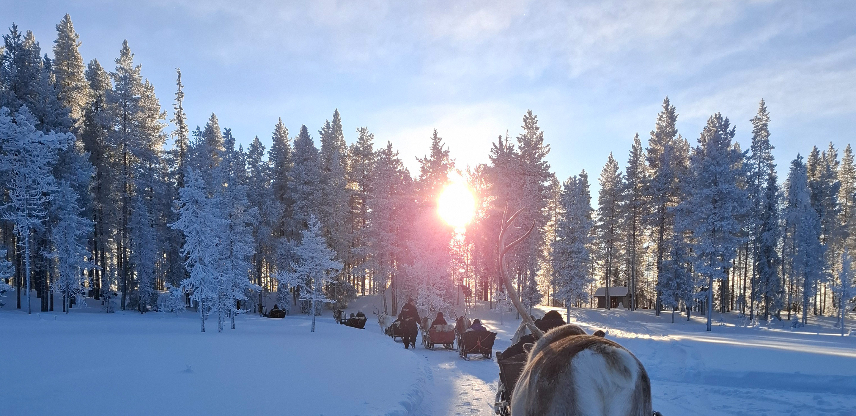 Ausflug mit Rentieren in Finnland