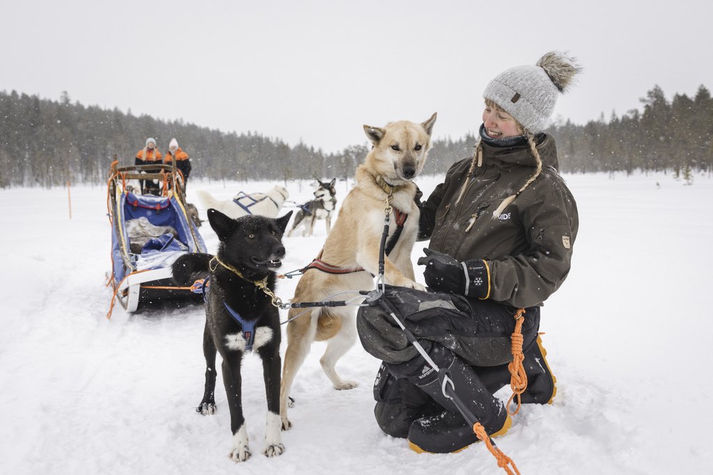 Huskytour