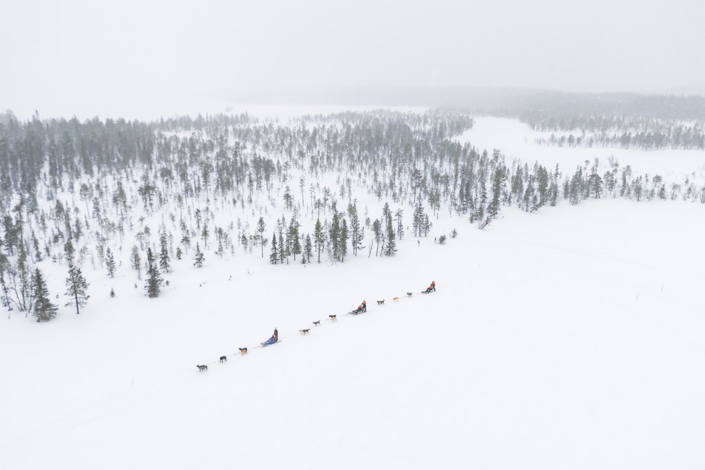 Huskytour 