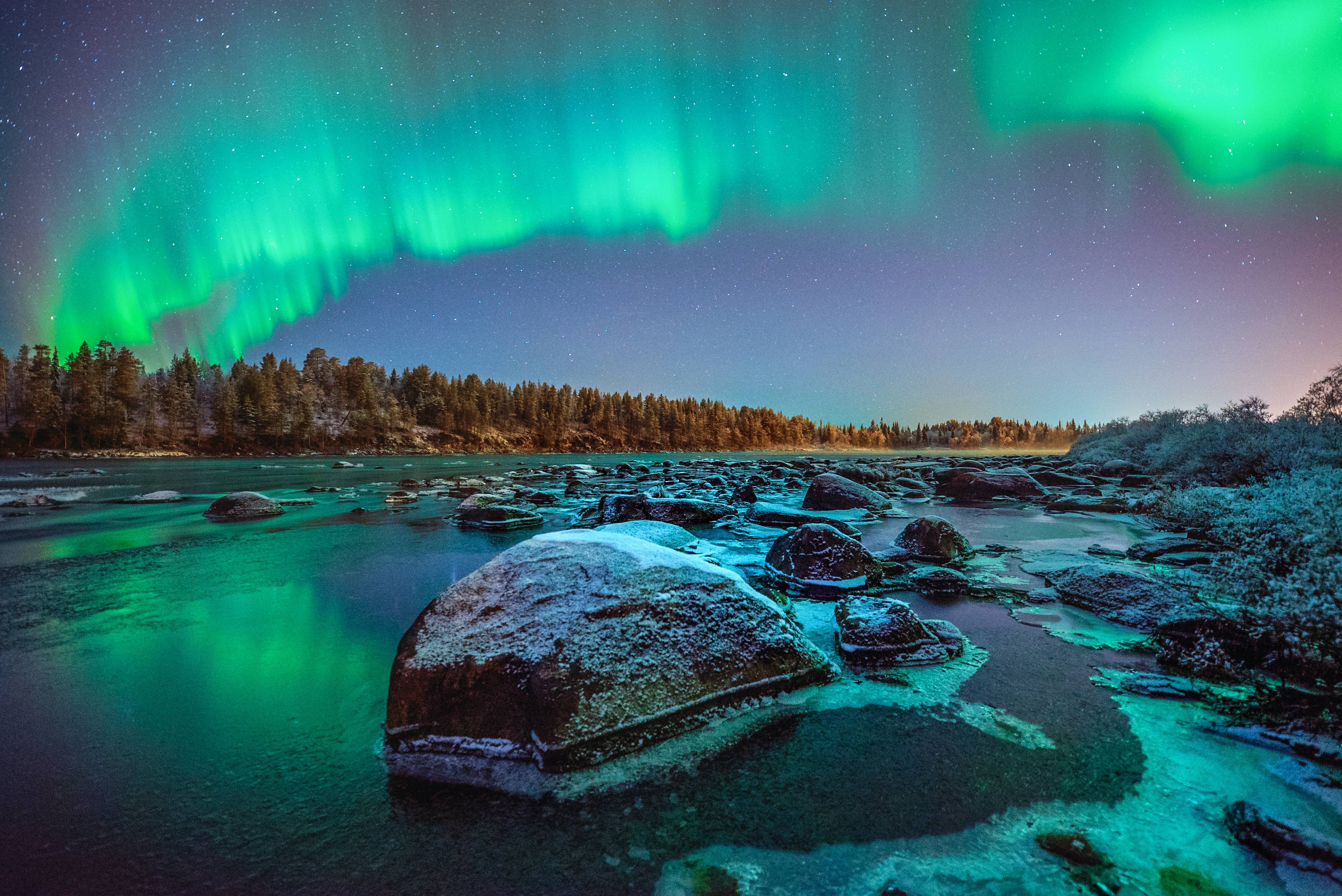 Harriniva Auroras