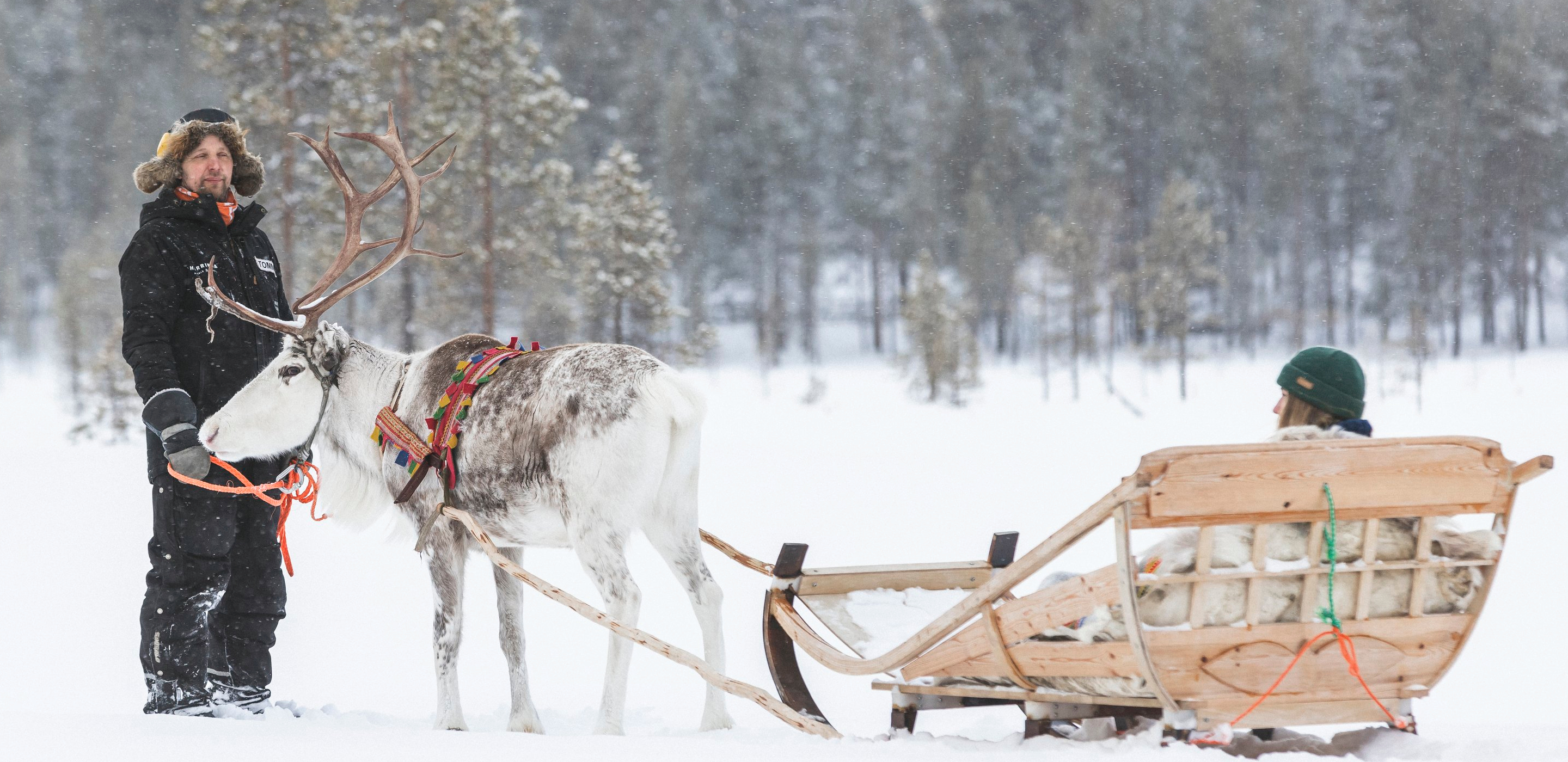 Rentierschlitten Harriniva