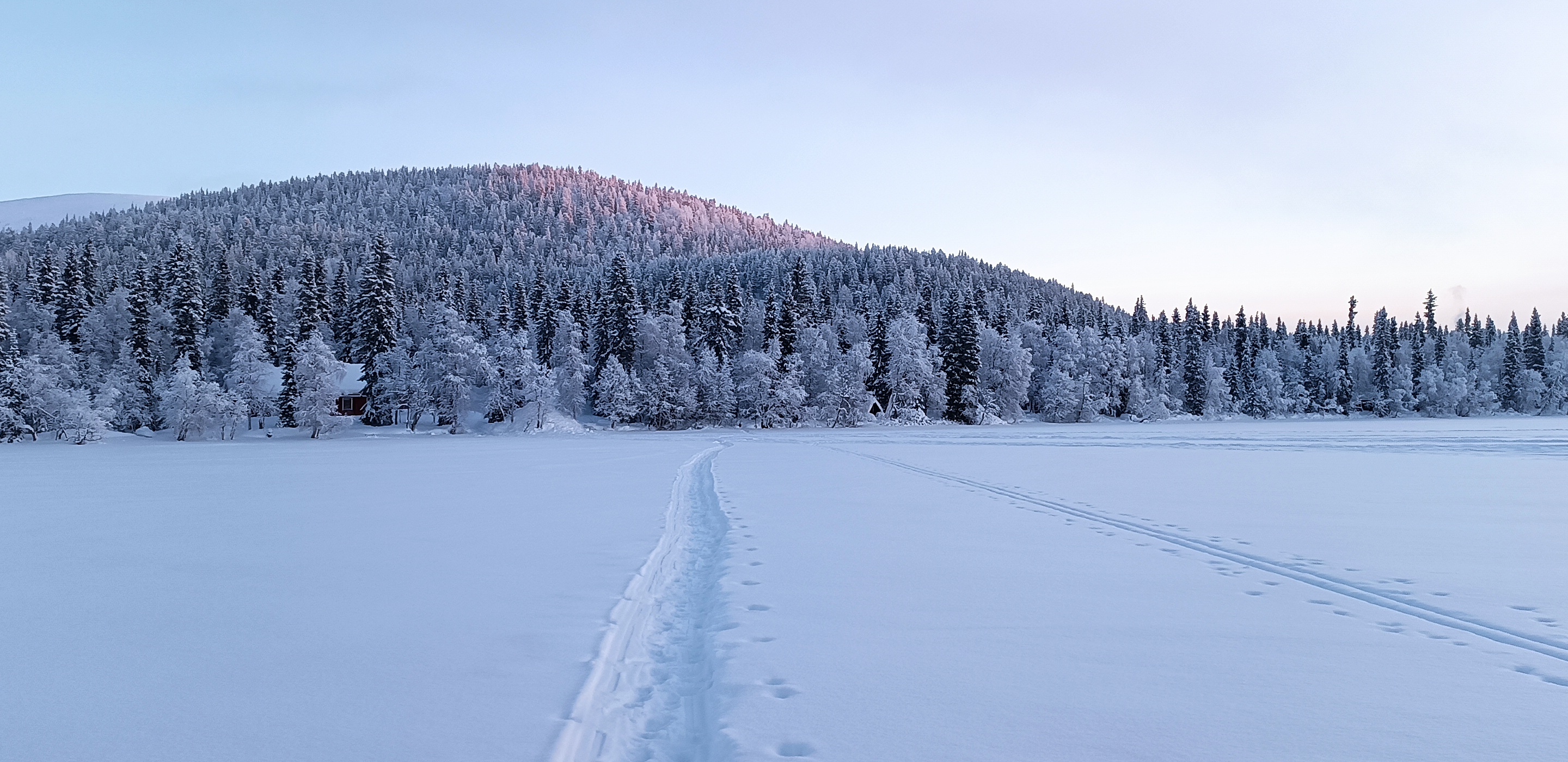 Felltrek Umgebung 