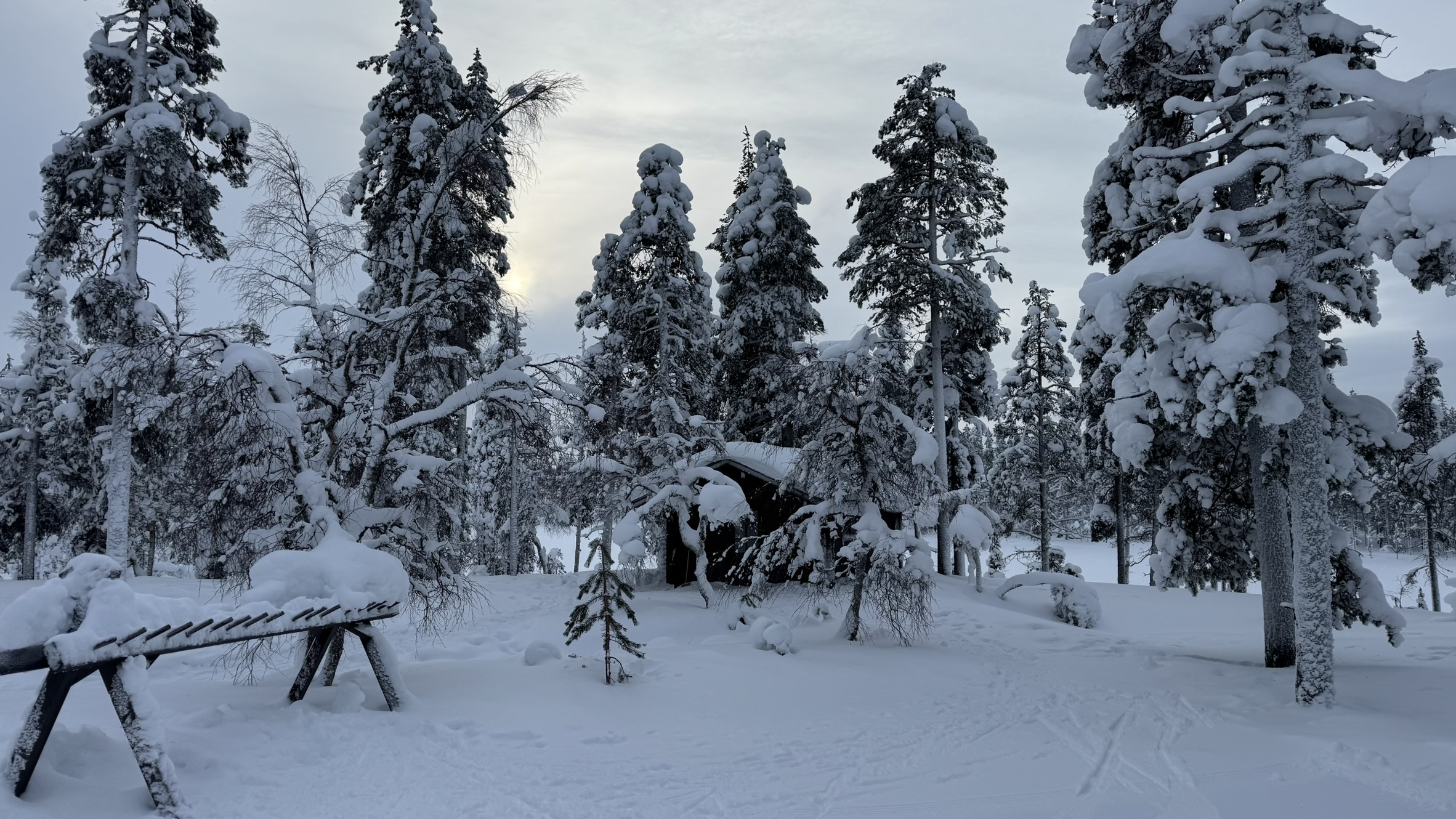 Hütte im verschneiten Wald 