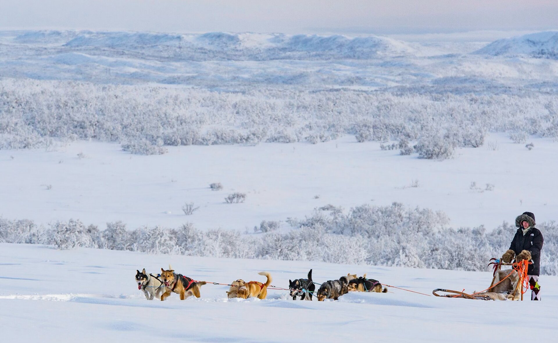 Holiday Village Valle Husky-Safari