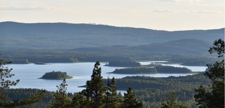 Landschaft Sörbyn Lodge