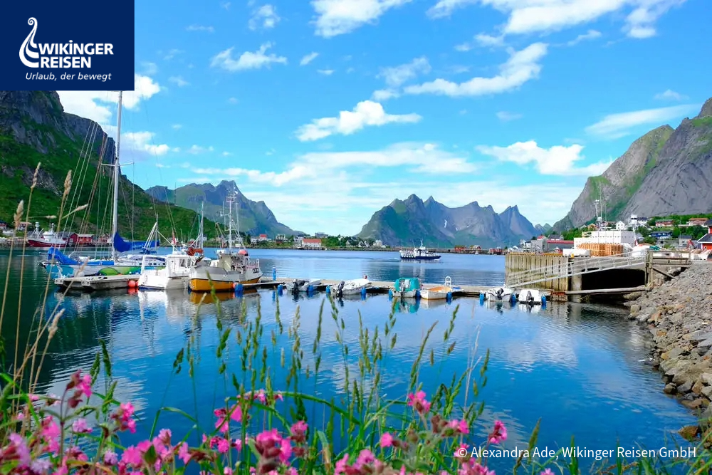 Lofoten Hafen