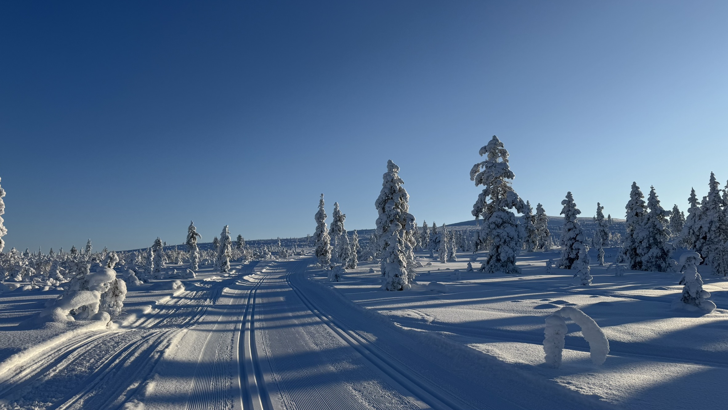 Loipe durch die Landschaft mit Bäumen-quer