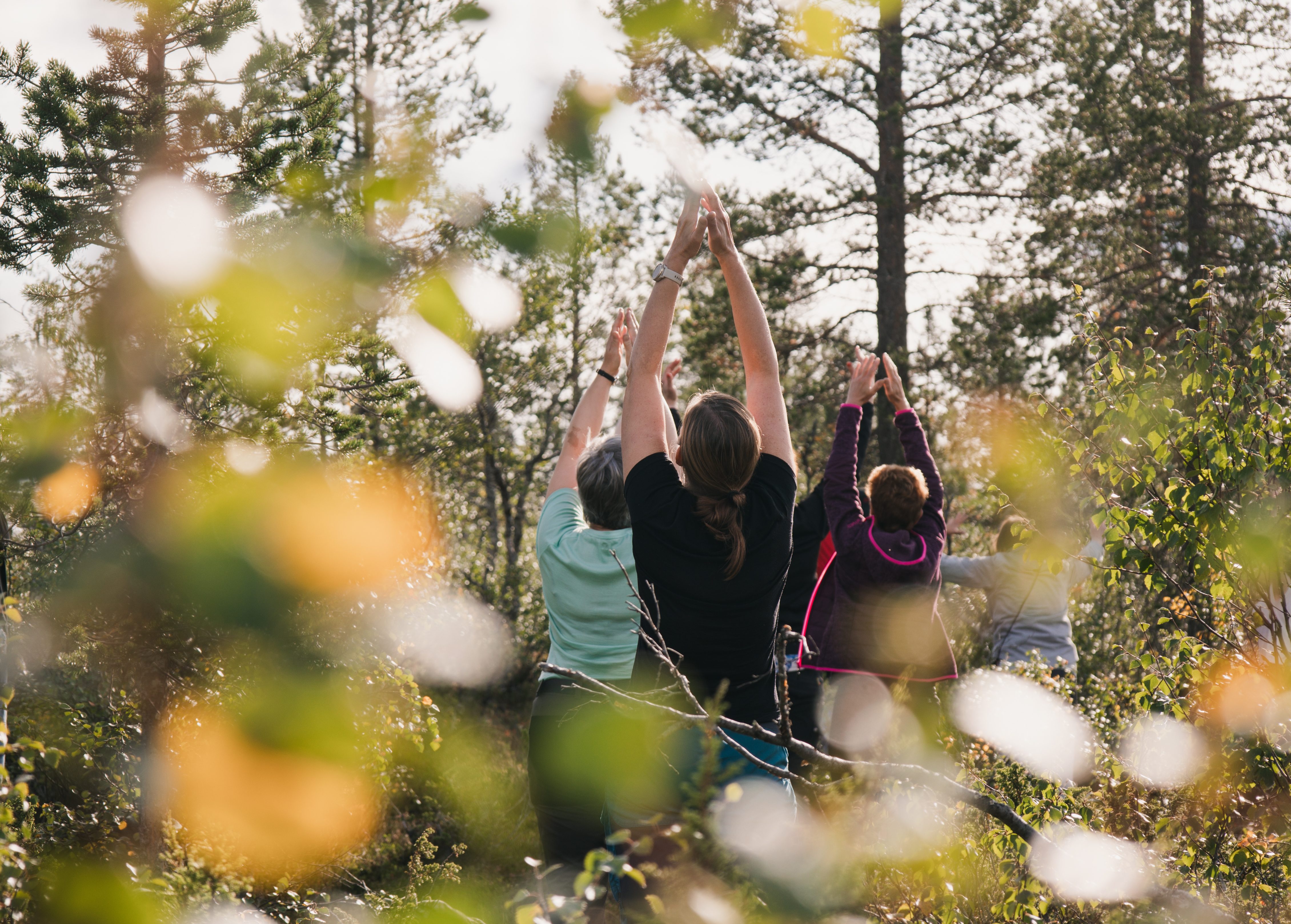 Meditation in der Natur