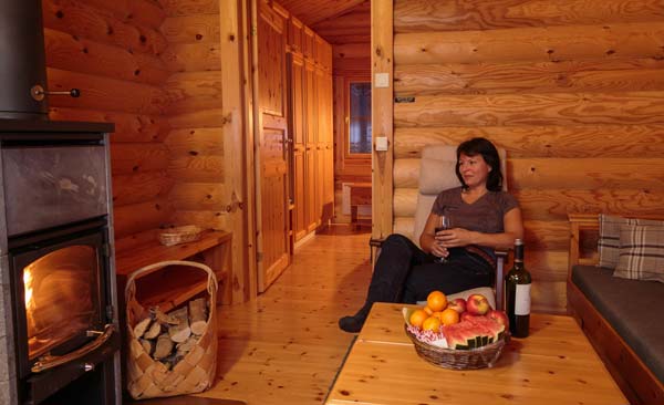 Doppel-Blockhütte - Kamin