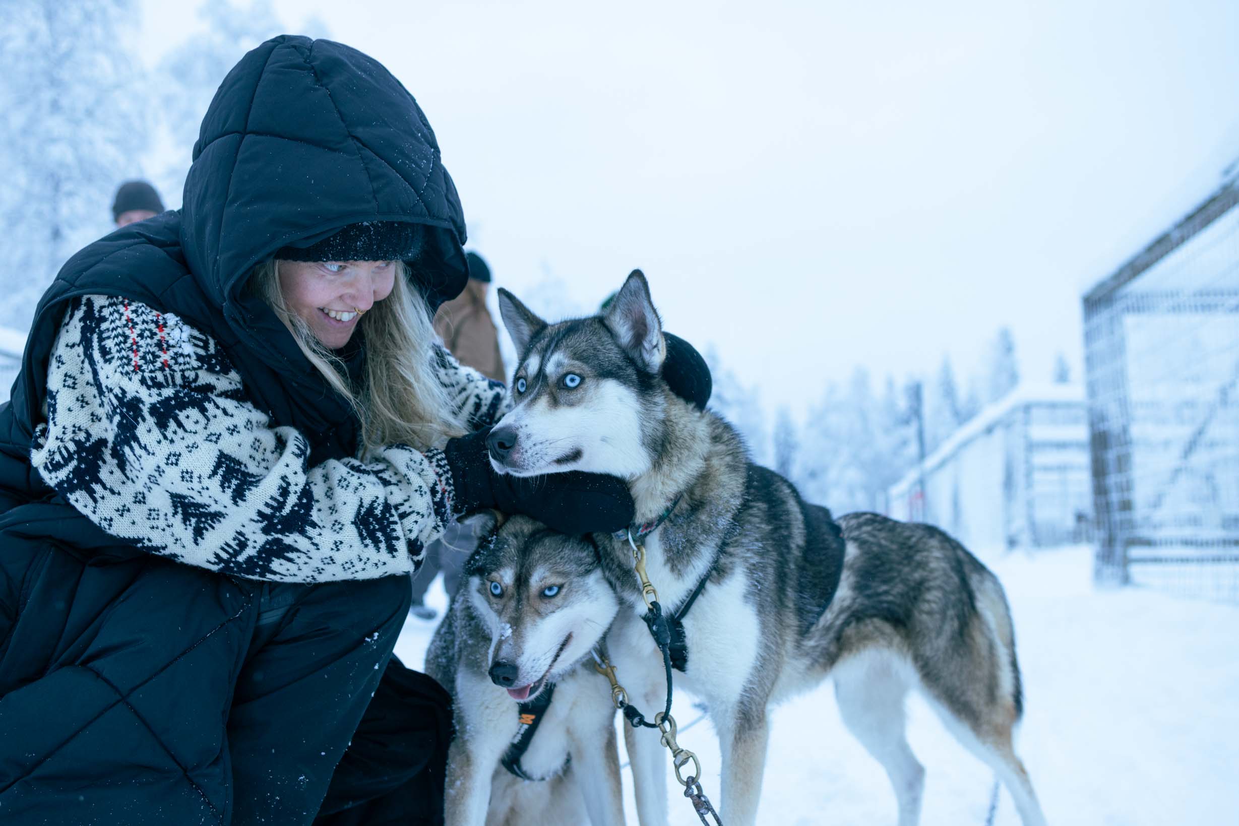 Husky Pikku Syöte