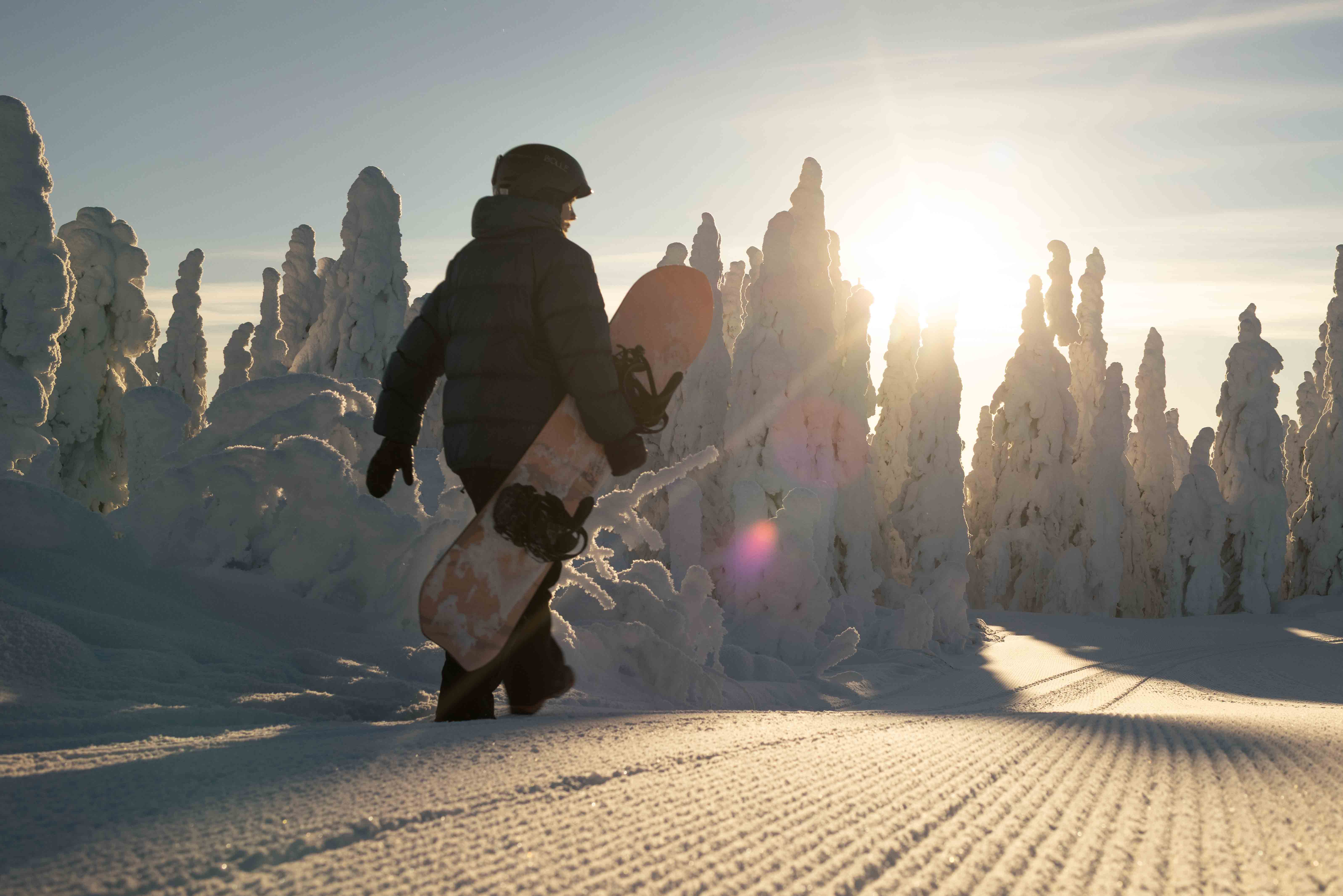 Snowboard
