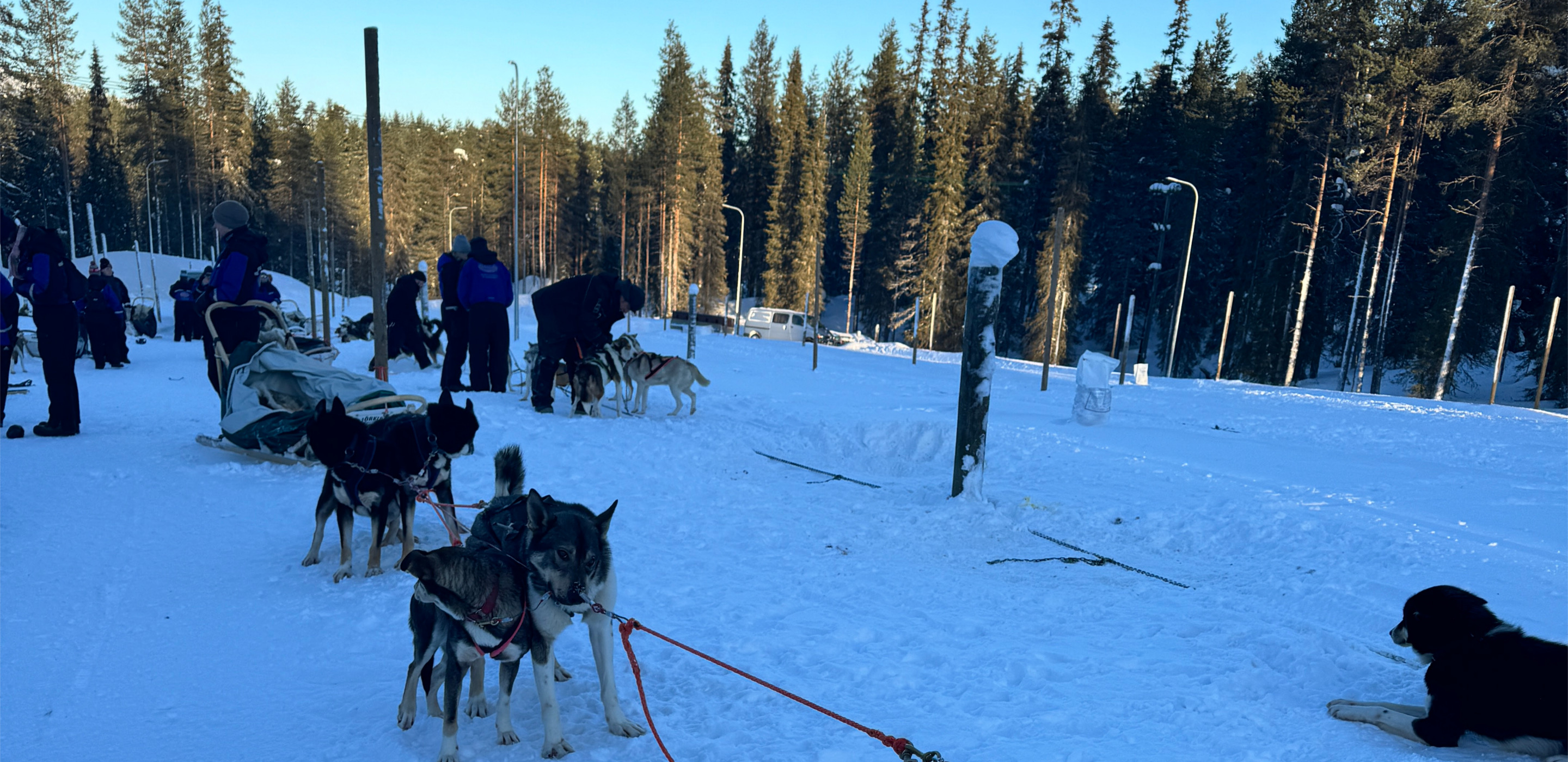 Sallatunturi Hundeschlitten Safari Pause