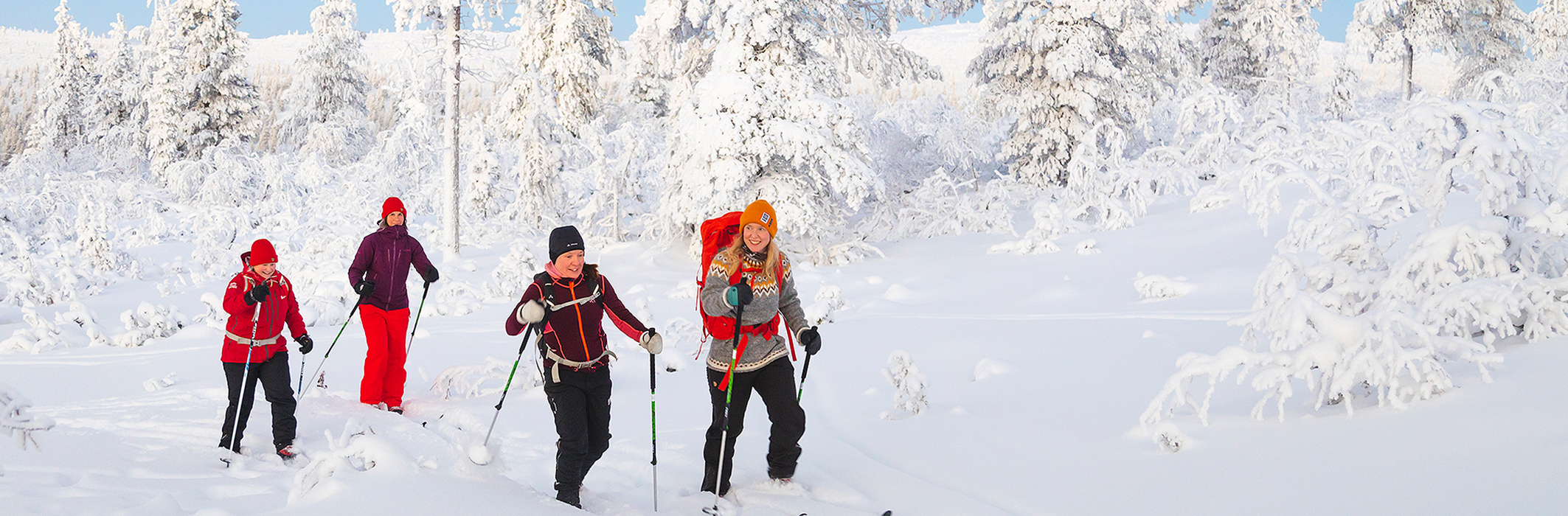 Skilanglauf Lappland -Kiilopää