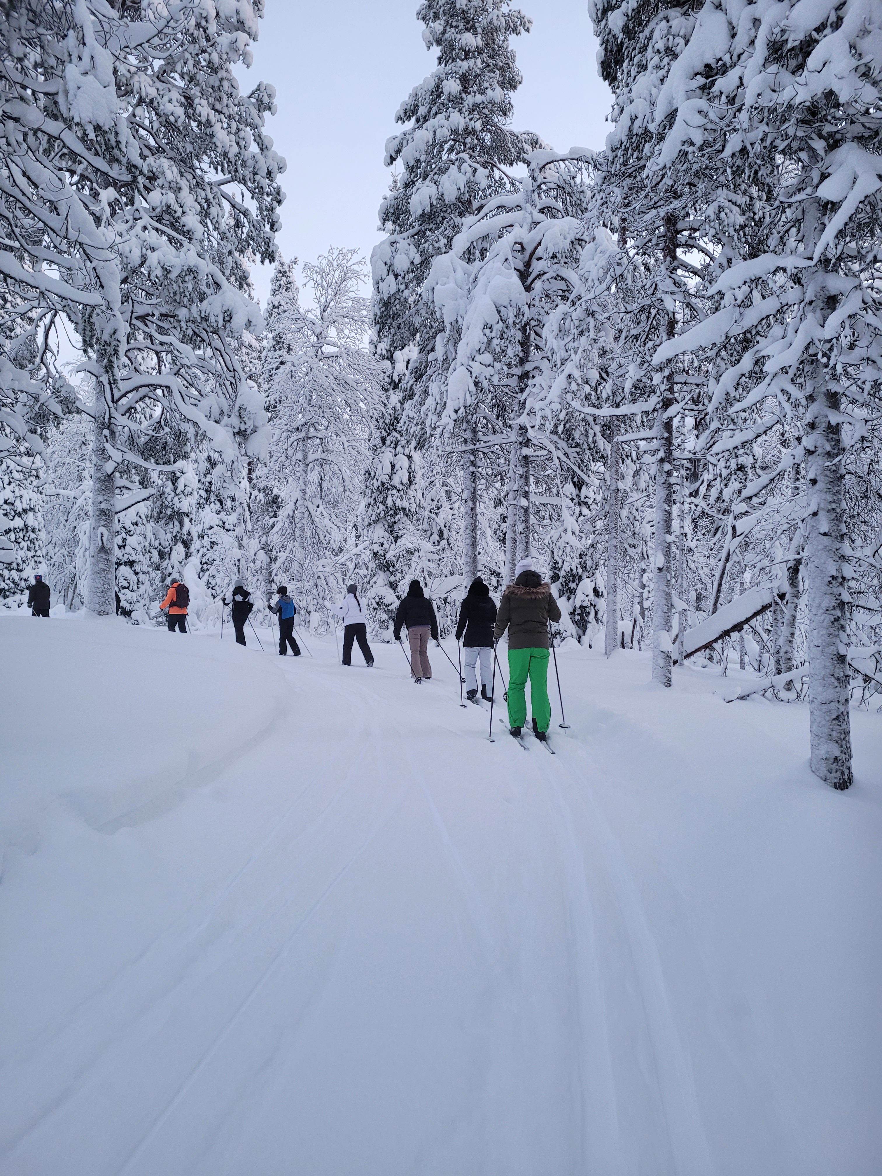 Felltrek Skilanglauf