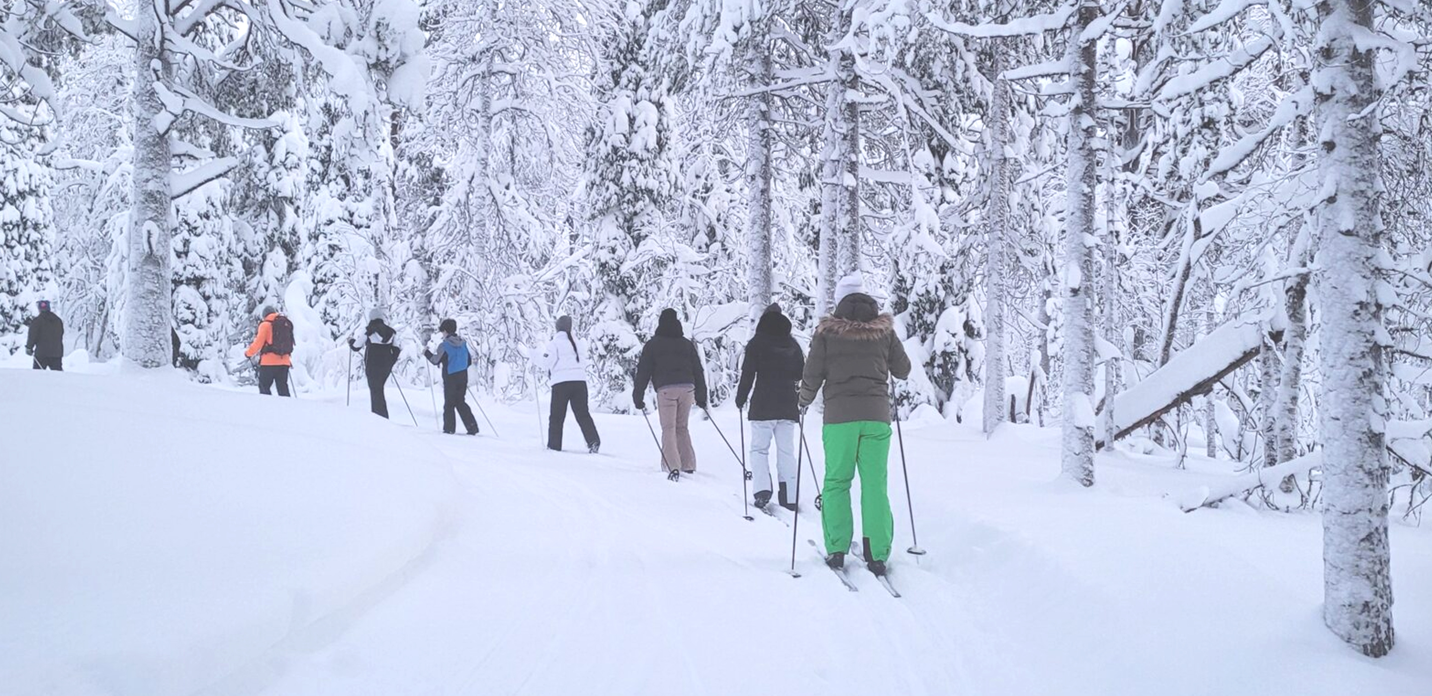Skilanglauf mit Gruppe im Wald
