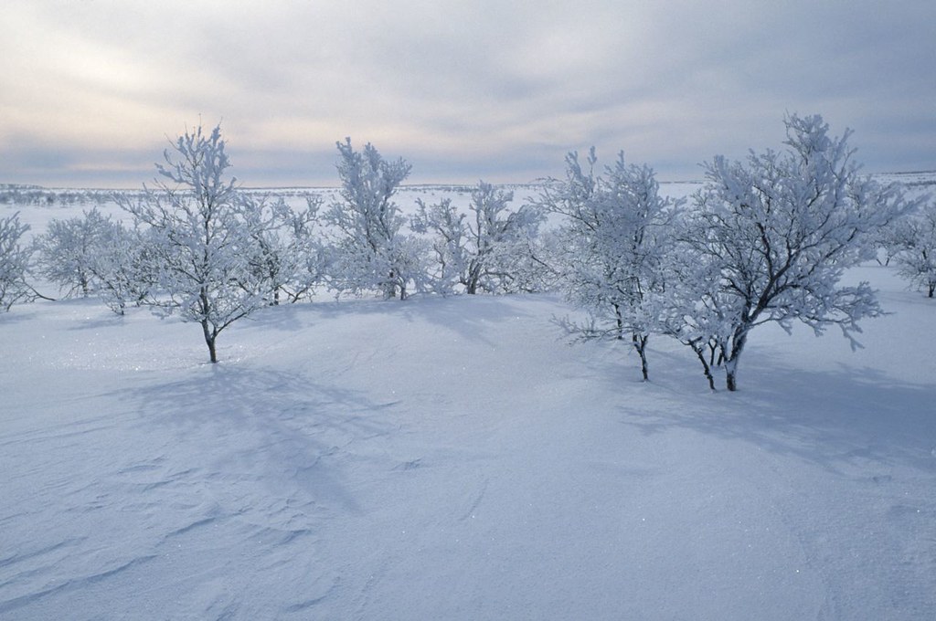Umgebung Korpikartano 