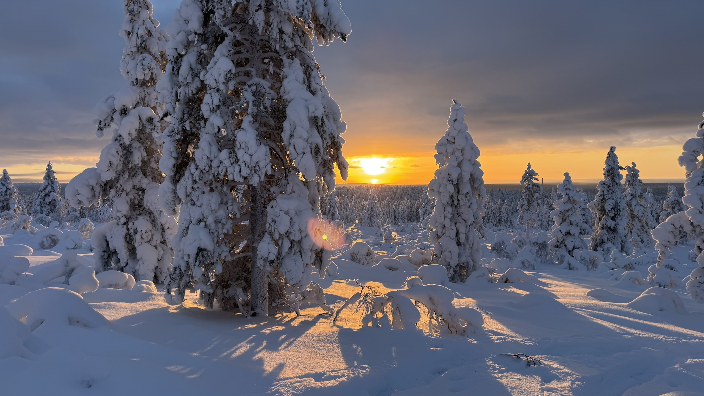 Verschneite Wälder und Sonnenuntergang