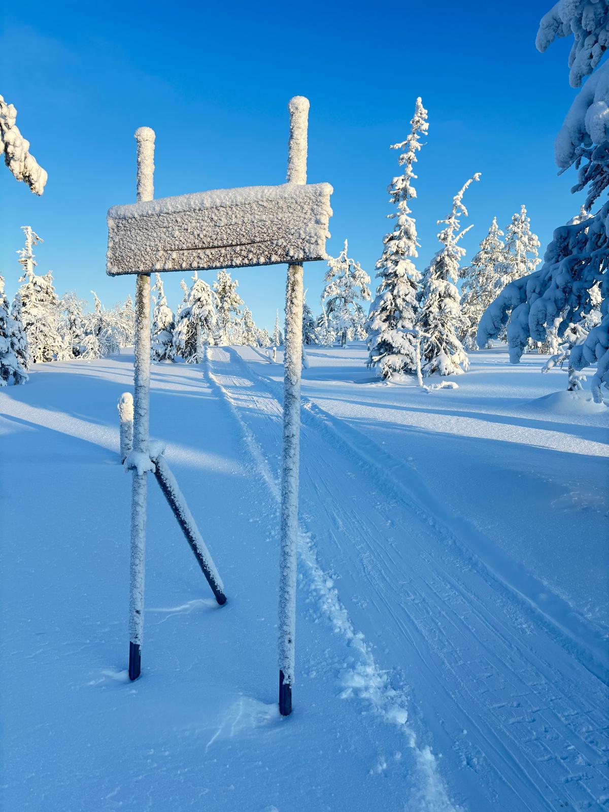 Verschneites Schild im Wald