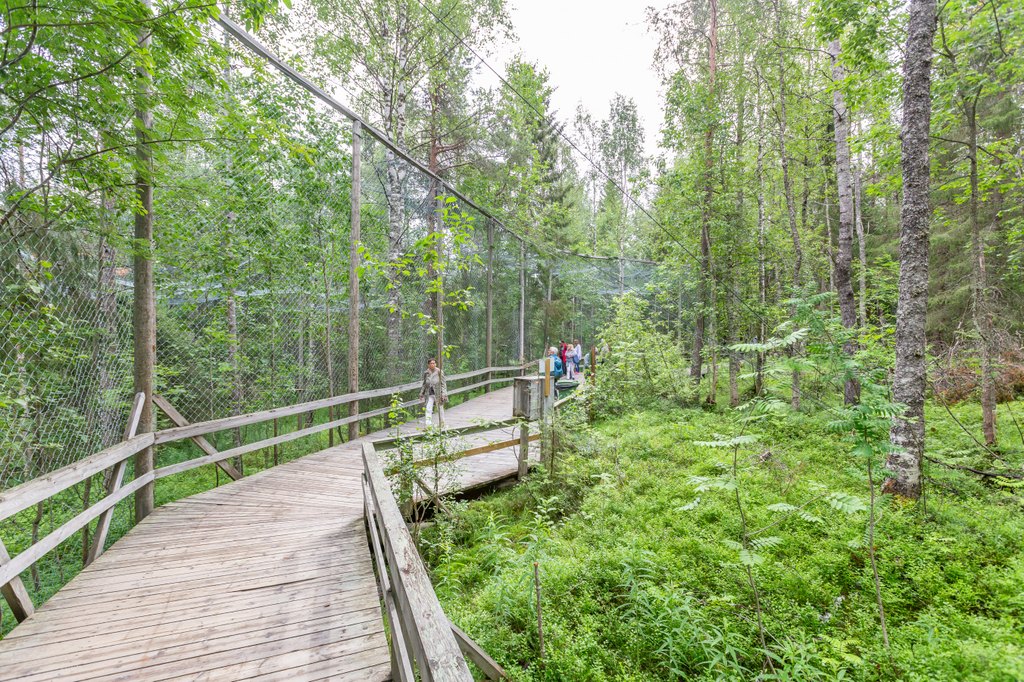 Ranua Wildlifepark im Sommer