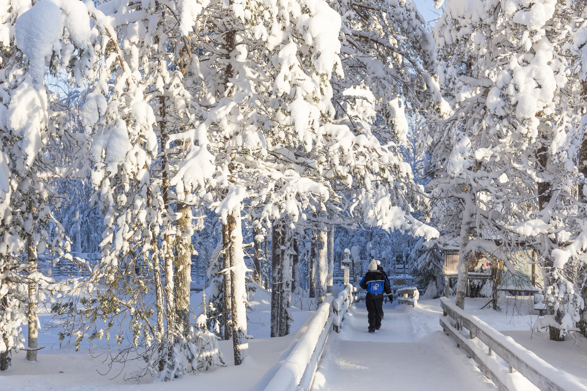 Wildlife Park im Winter