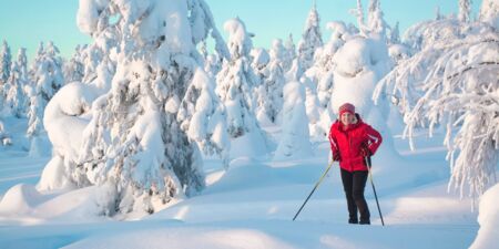 Langlauf in Lappland