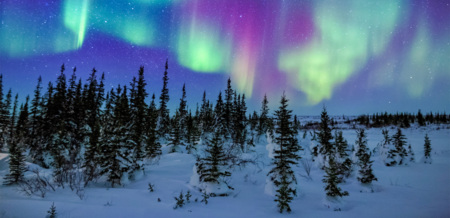 Polarlichter erleben in Skandinavien
