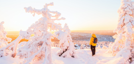 Winterliches Lappland