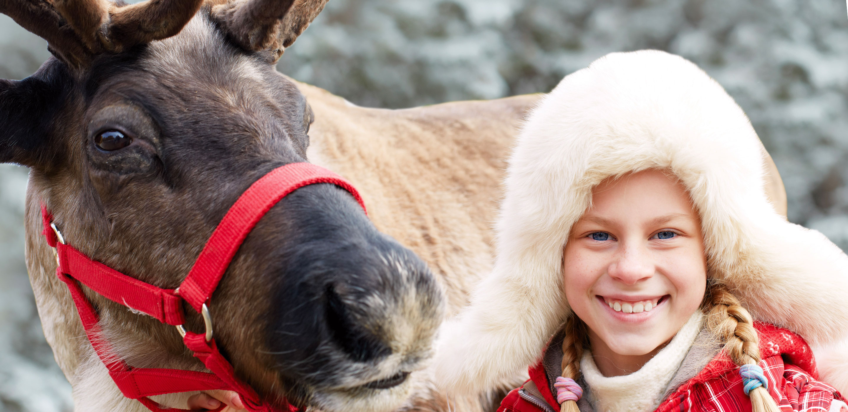 Weihnachten & Silvester in Lappland