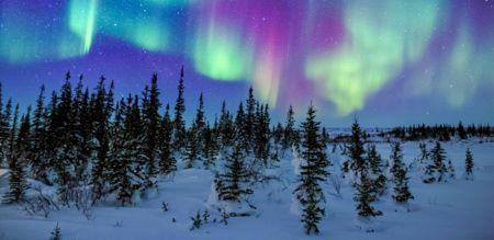 Tuja Reisen, Nordlichter erleben in Skandinavien Team